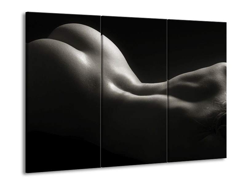Glas schilderij Lichaam | Zwart, Wit, Grijs | 90x60cm 3Luik