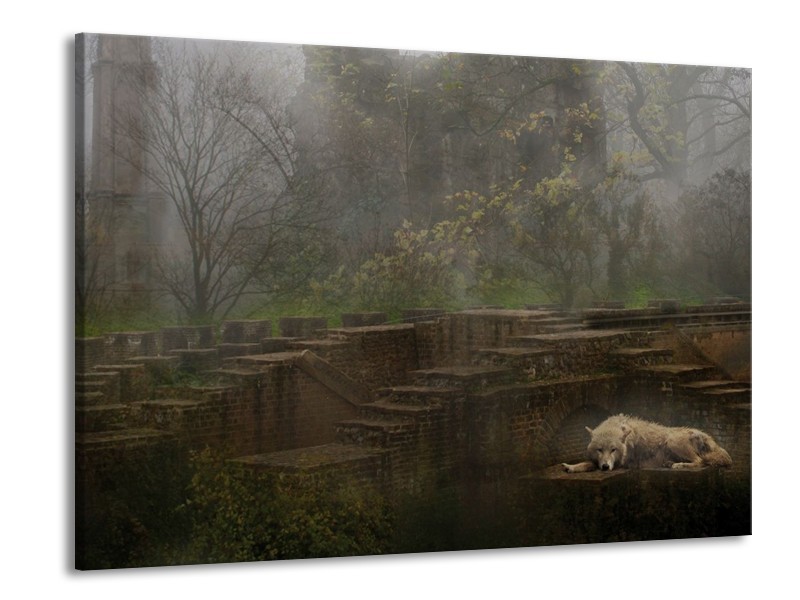 Canvas schilderij Wolf | Groen, Grijs | 100x70cm 1Luik