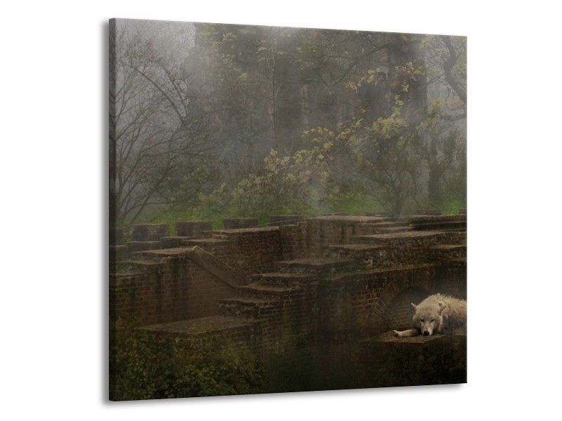 Canvas schilderij Wolf | Groen, Grijs | 50x50cm 1Luik