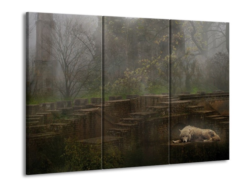Glas schilderij Wolf | Groen, Grijs | 90x60cm 3Luik