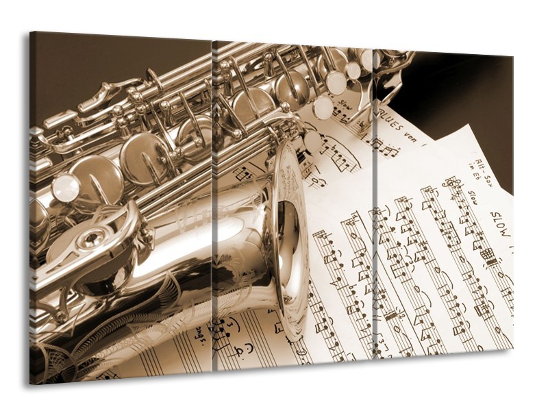 Glas schilderij Muziek | Wit, Grijs | 165x100cm 3Luik