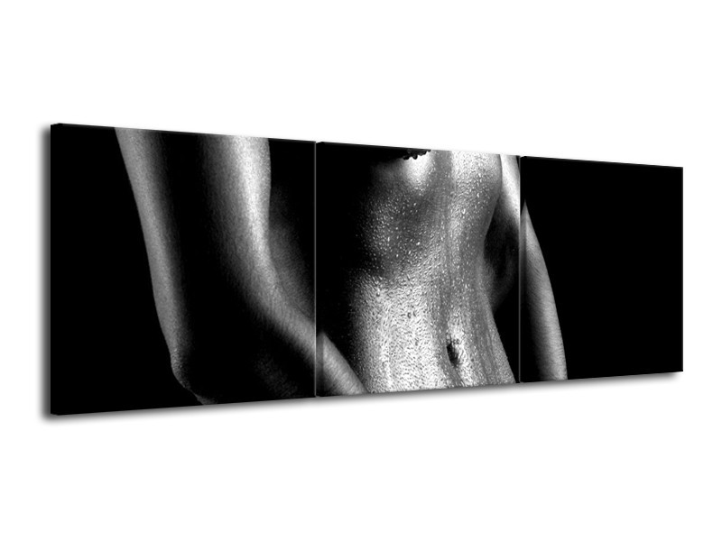 Canvas schilderij Lichaam | Grijs, Zwart, Wit | 120x40cm 3Luik