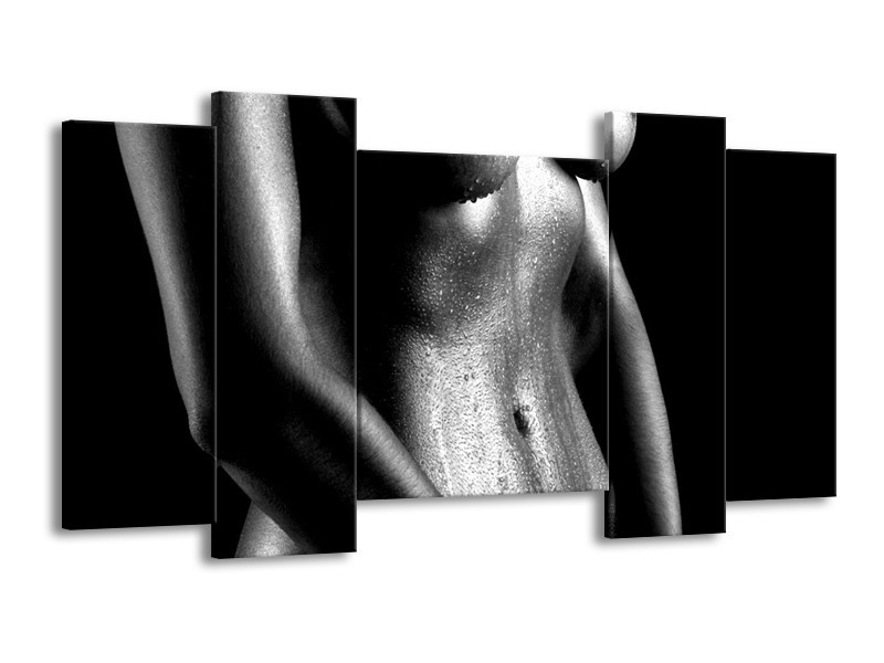 Canvas schilderij Lichaam | Grijs, Zwart, Wit | 120x65 5Luik