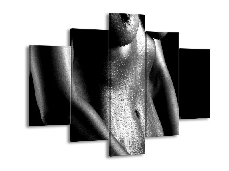 Canvas schilderij Lichaam | Grijs, Zwart, Wit | 150x105cm 5Luik