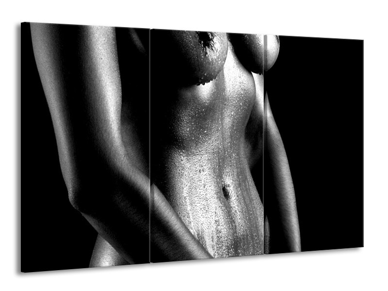 Canvas schilderij Lichaam | Grijs, Zwart, Wit | 165x100cm 3Luik