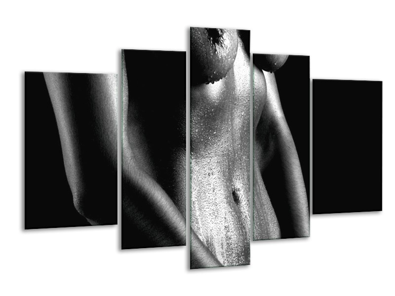 Canvas schilderij Lichaam | Grijs, Zwart, Wit | 170x100cm 5Luik