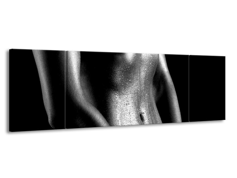 Canvas schilderij Lichaam | Grijs, Zwart, Wit | 170x50cm 3Luik