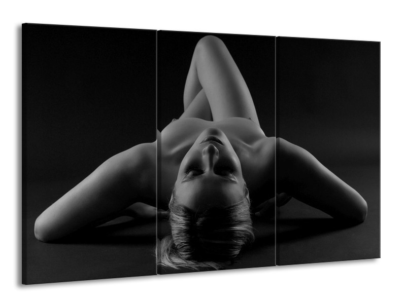 Glas schilderij Lichaam | Zwart, Grijs | 165x100cm 3Luik