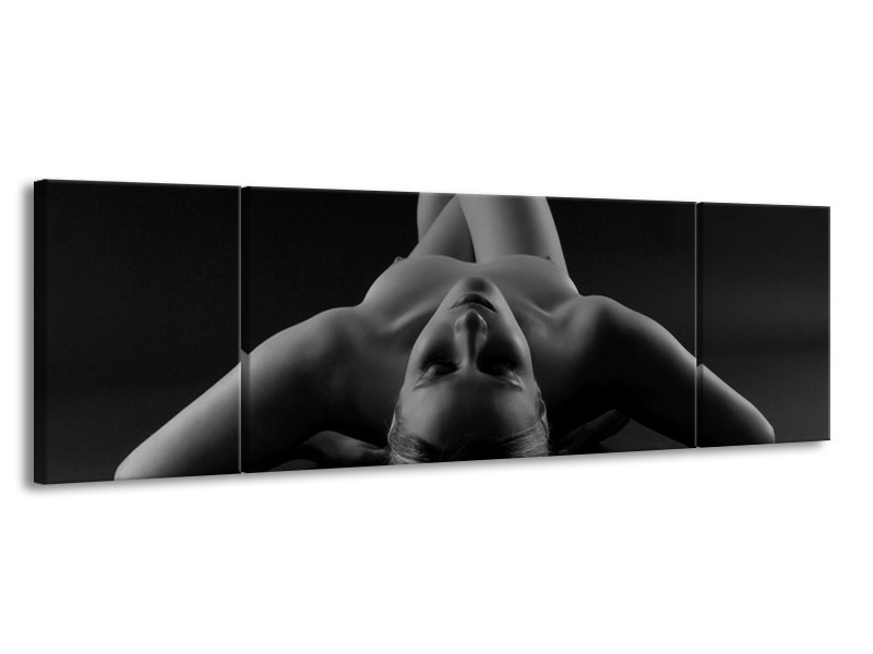 Canvas schilderij Lichaam | Zwart, Grijs | 170x50cm 3Luik