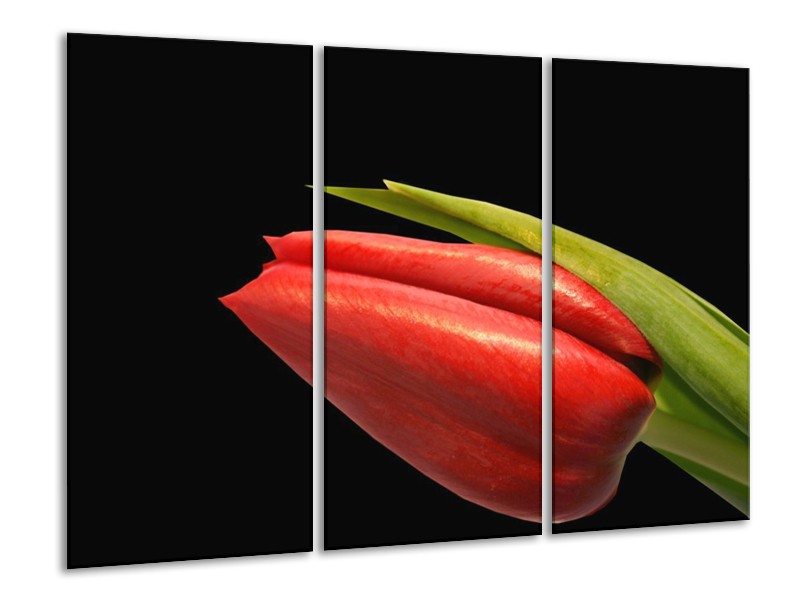 Canvas schilderij Tulp | Rood, Groen, Zwart | 120x80cm 3Luik