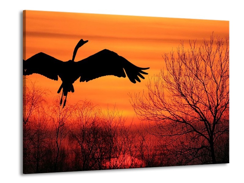 Canvas schilderij Vogels | Zwart, Oranje, Rood | 100x70cm 1Luik