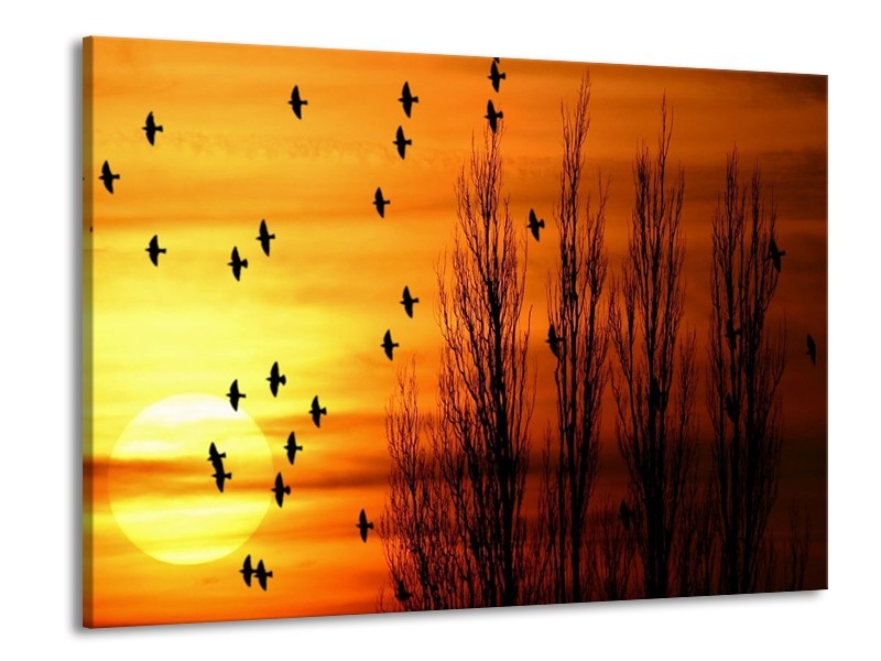 Glas schilderij Vogels | Geel, Zwart | 100x70cm 1Luik