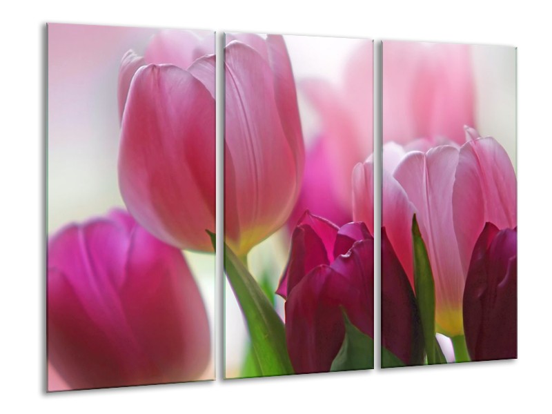 Canvas schilderij Tulp | Rood, Groen, Wit | 120x80cm 3Luik