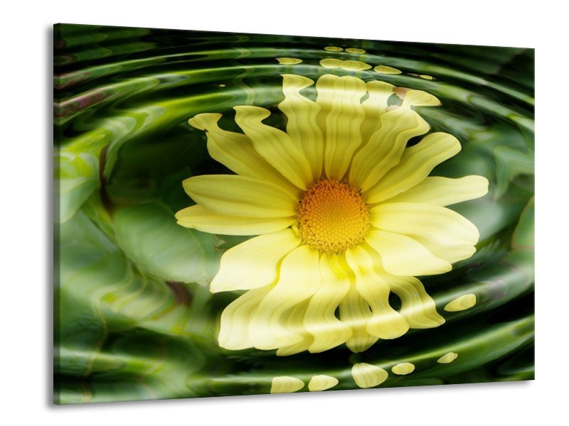 Canvas schilderij Bloem | Groen, Geel, Wit | 100x70cm 1Luik