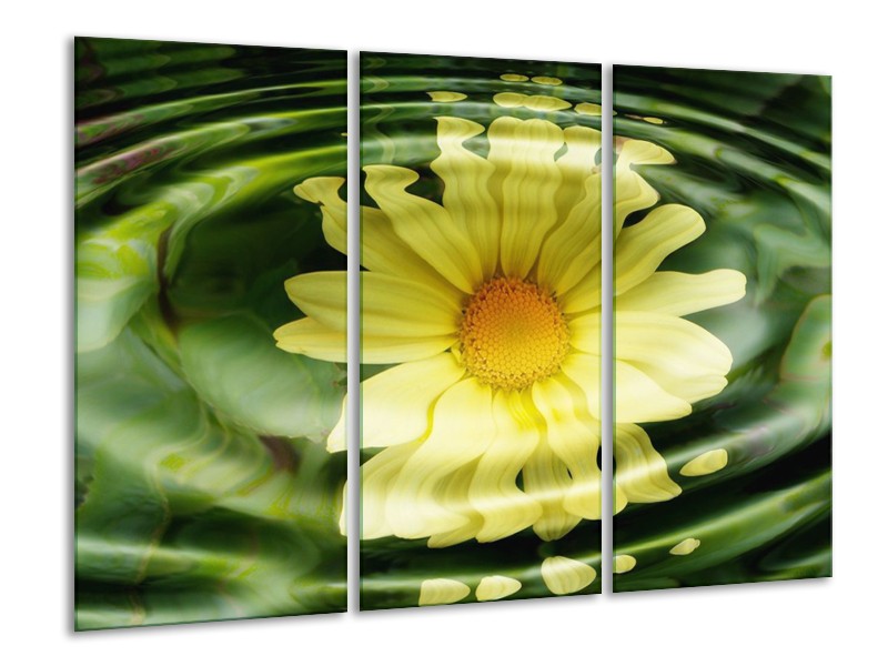 Canvas schilderij Bloem | Groen, Geel, Wit | 120x80cm 3Luik