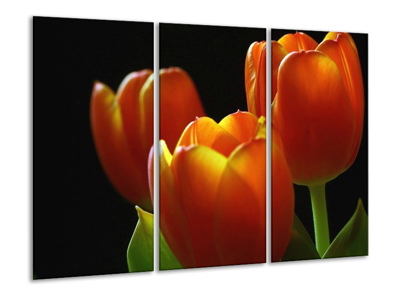 Canvas schilderij Tulpen | Rood, Geel, Oranje | 120x80cm 3Luik