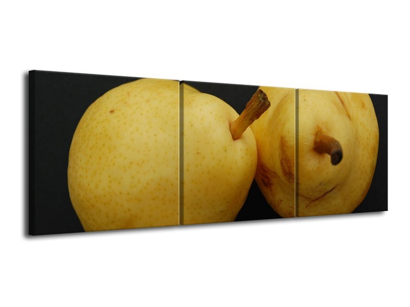 Canvas schilderij Peer | Geel, Zwart, Bruin | 120x40cm 3Luik