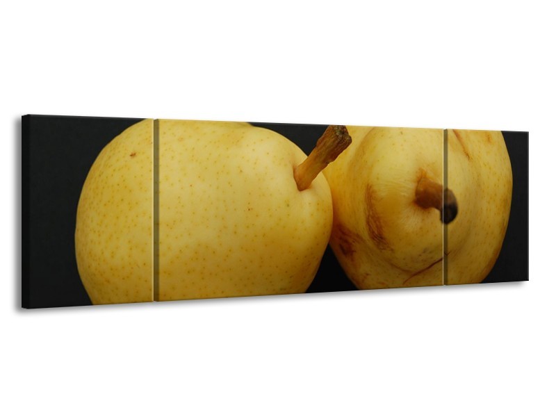 Canvas schilderij Peer | Geel, Zwart, Bruin | 170x50cm 3Luik