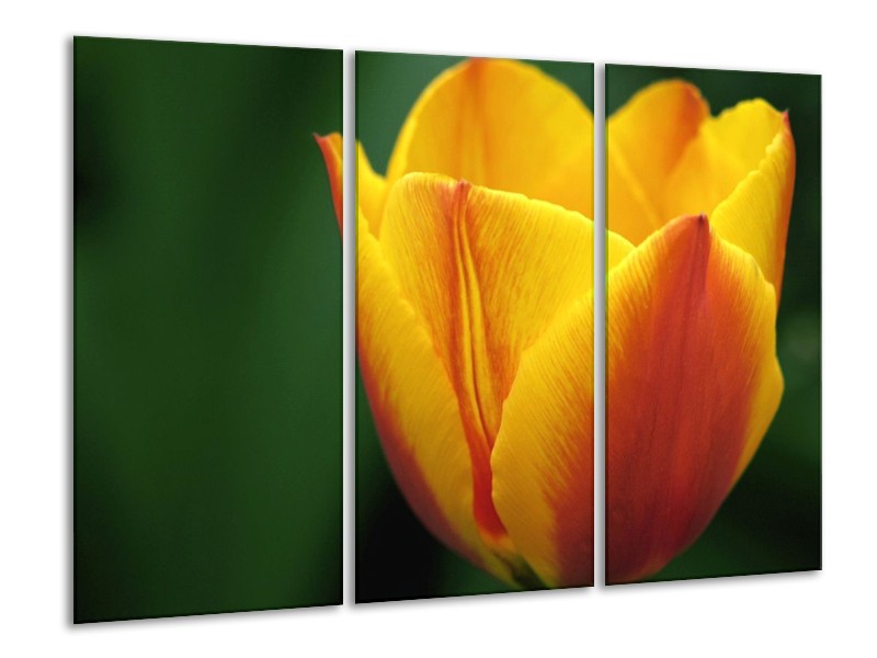 Canvas schilderij Tulp | Geel, Groen, Oranje | 120x80cm 3Luik