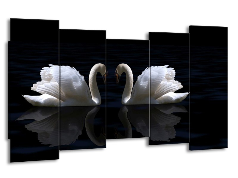 Canvas schilderij Zwanen | Wit, Zwart | 150x80cm 5Luik