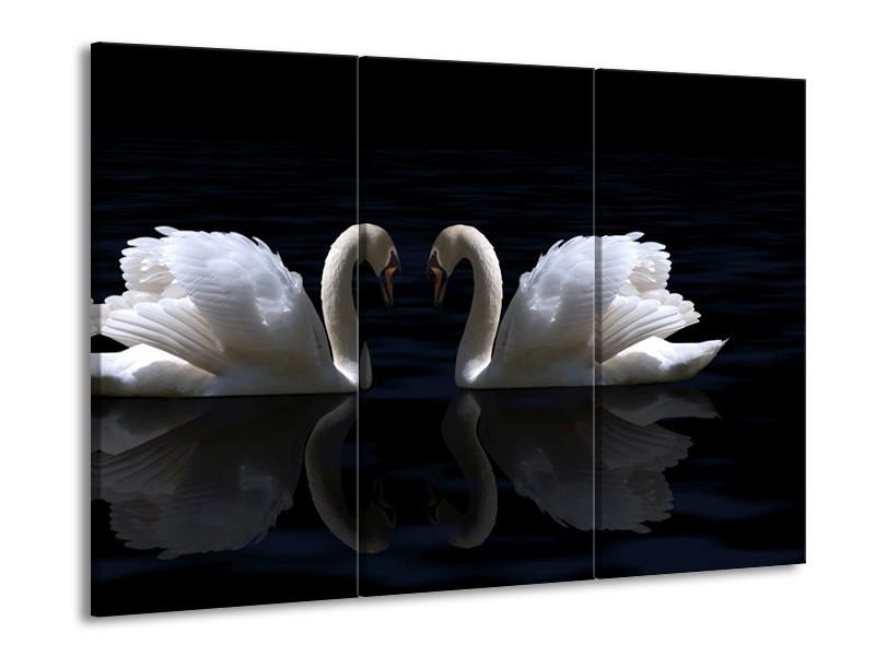Glas schilderij Zwanen | Wit, Zwart | 90x60cm 3Luik