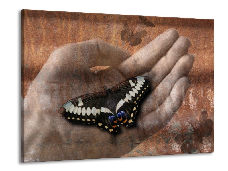 Canvas schilderij Vlinder | Grijs, Bruin | 100x70cm 1Luik