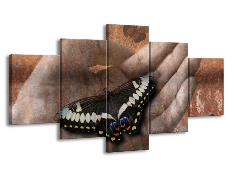 Canvas schilderij Vlinder | Grijs, Bruin | 150x80cm 5Luik