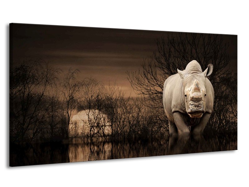 Canvas schilderij Natuur | Grijs, Bruin | 170x90cm 1Luik