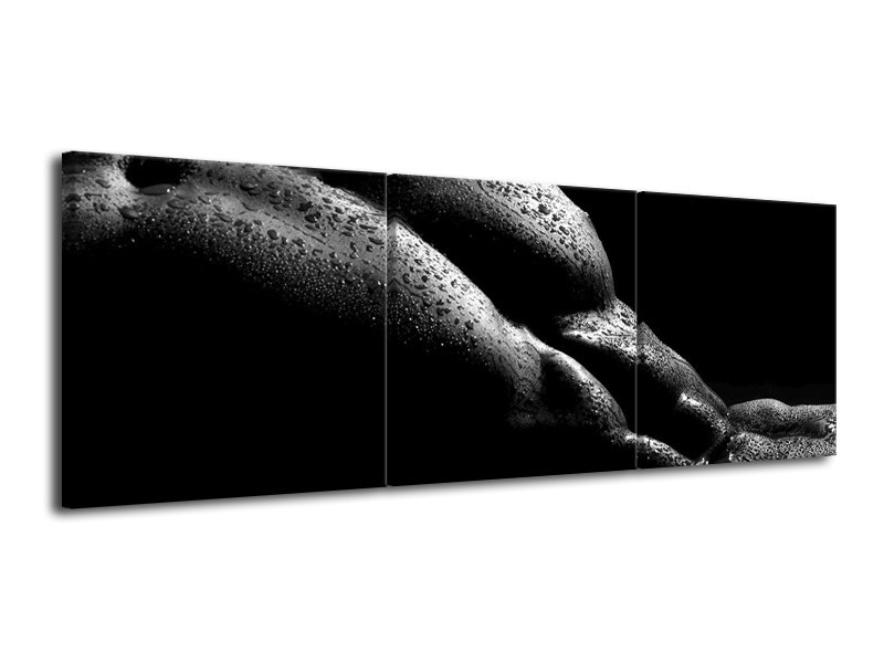 Canvas schilderij Lichaam | Grijs, Zwart | 120x40cm 3Luik