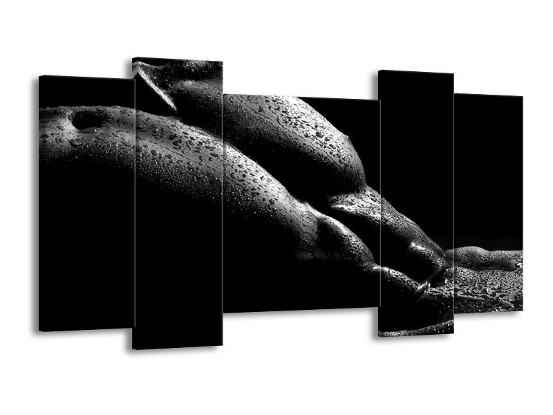 Canvas schilderij Lichaam | Grijs, Zwart | 120x65 5Luik