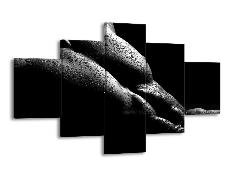 Canvas schilderij Lichaam | Grijs, Zwart | 125x70cm 5Luik