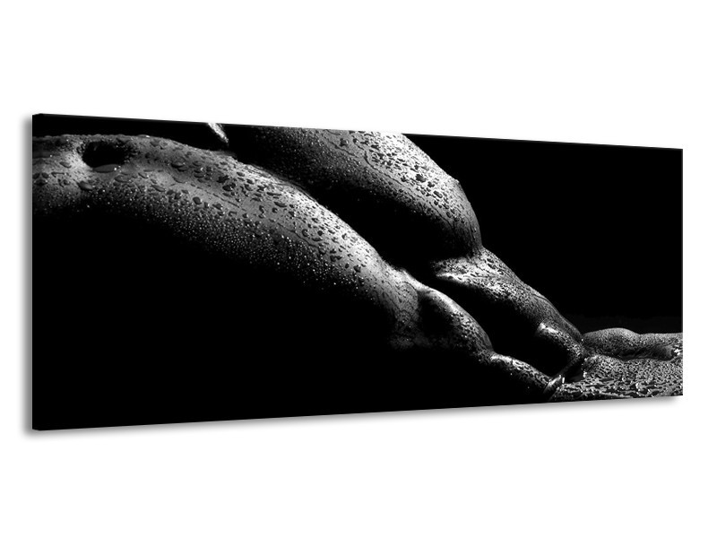 Canvas schilderij Lichaam | Grijs, Zwart | 145x58cm 1Luik