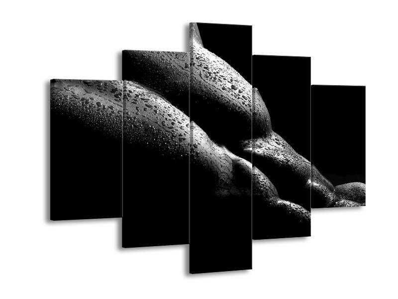 Canvas schilderij Lichaam | Grijs, Zwart | 150x105cm 5Luik