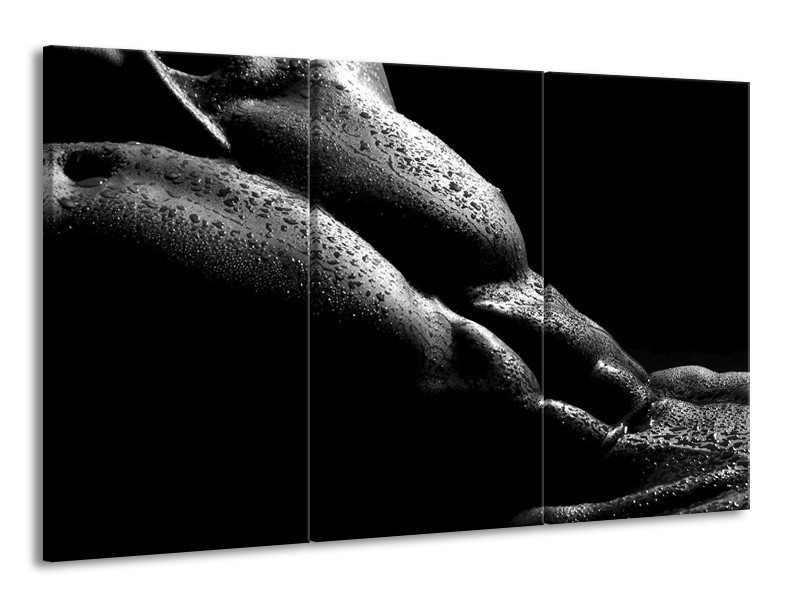 Canvas schilderij Lichaam | Grijs, Zwart | 165x100cm 3Luik