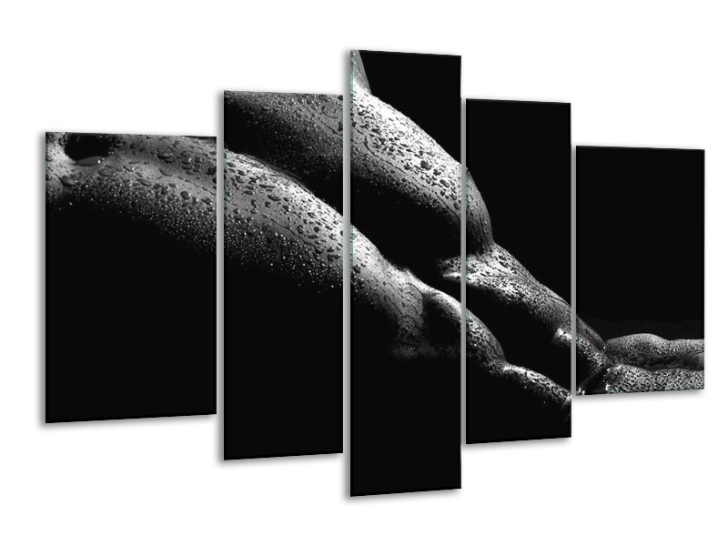 Canvas schilderij Lichaam | Grijs, Zwart | 170x100cm 5Luik