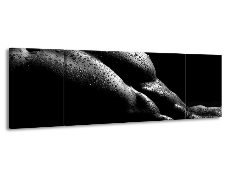 Canvas schilderij Lichaam | Grijs, Zwart | 170x50cm 3Luik