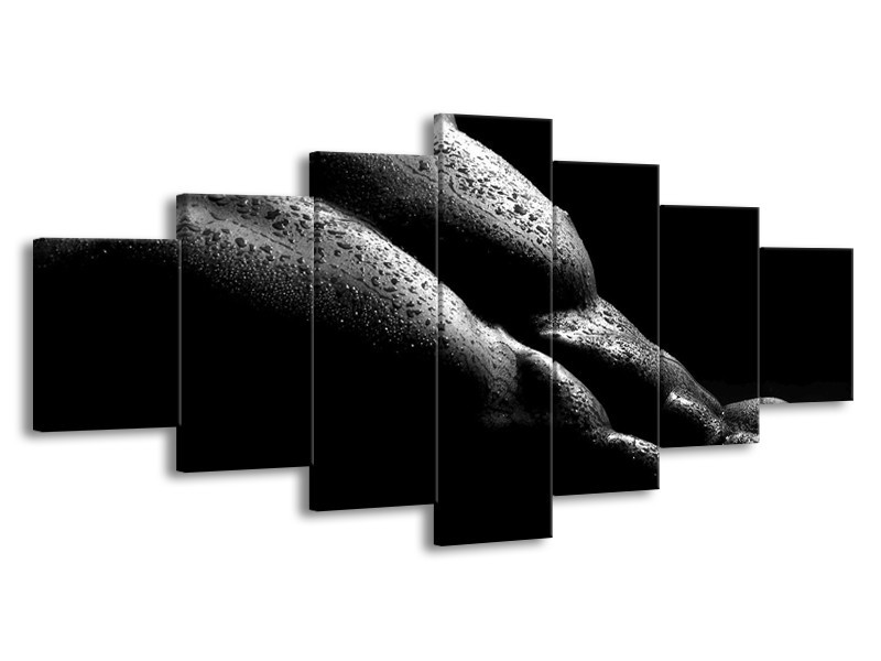 Canvas schilderij Lichaam | Grijs, Zwart | 210x100cm 7Luik