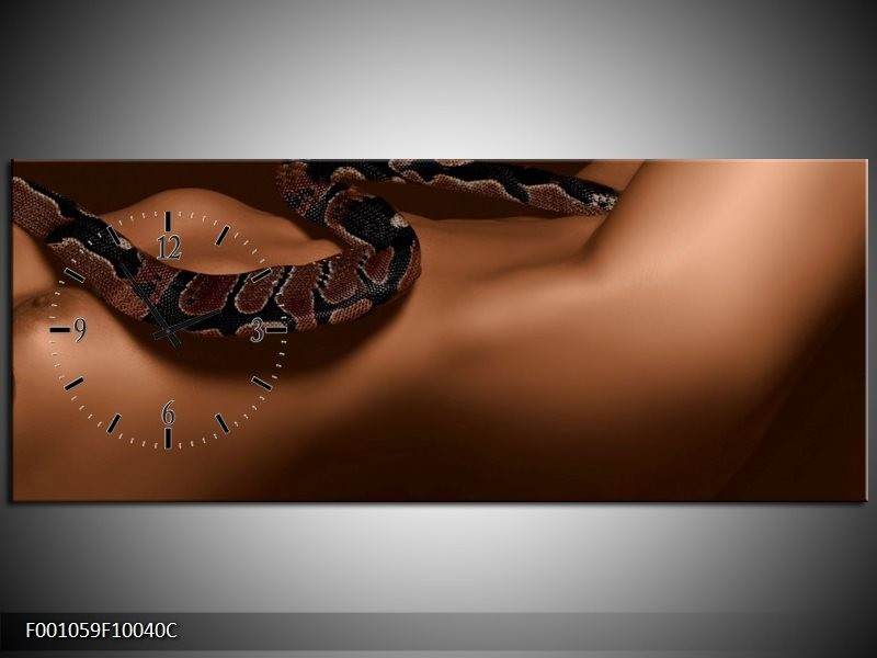 Klok schilderij Slang | Bruin, Zwart | 100x40cm 1Luik