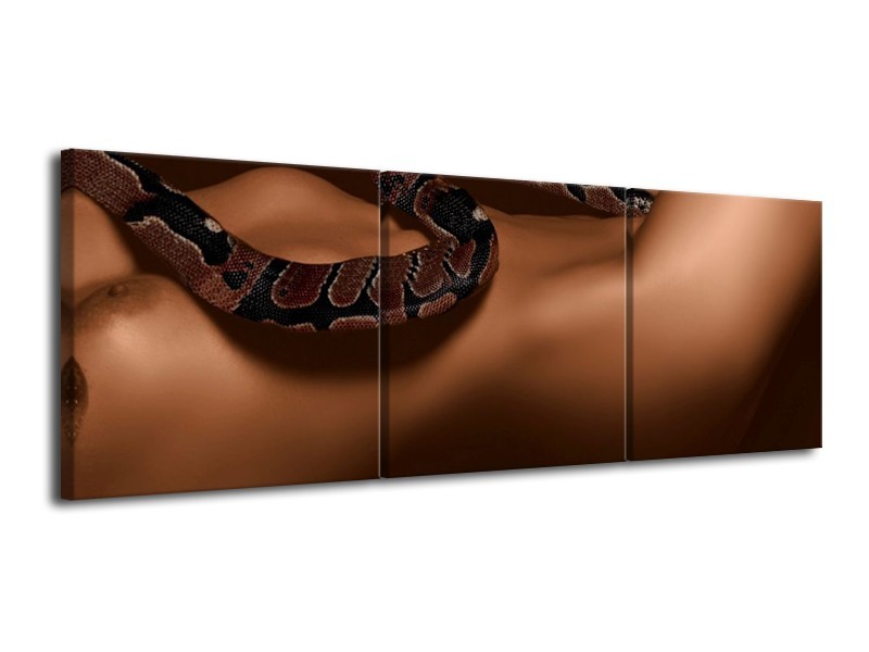 Glas schilderij Slang | Bruin, Zwart | 120x40cm 3Luik