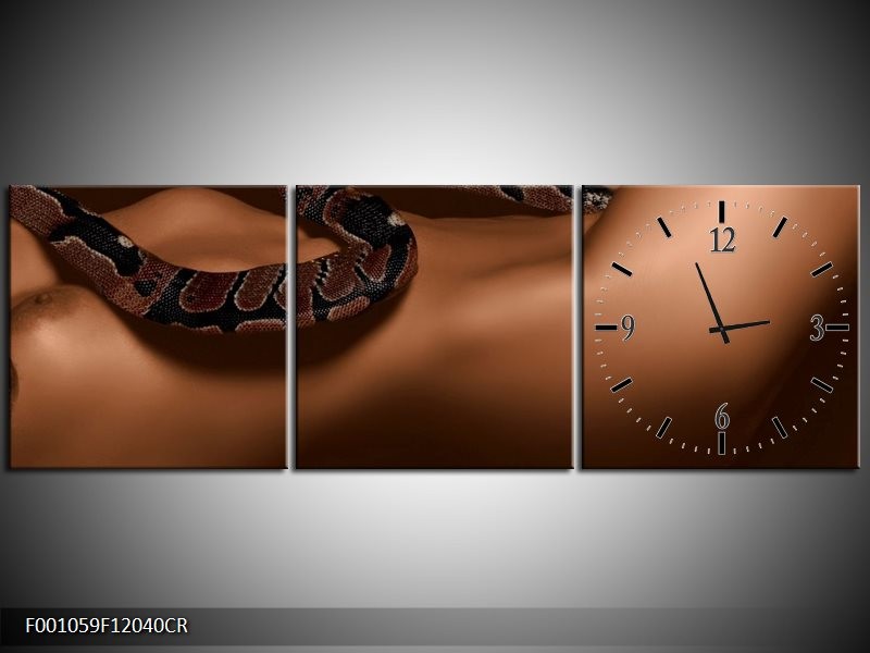 Klok schilderij Slang | Bruin, Zwart | 120x40cm 3Luik