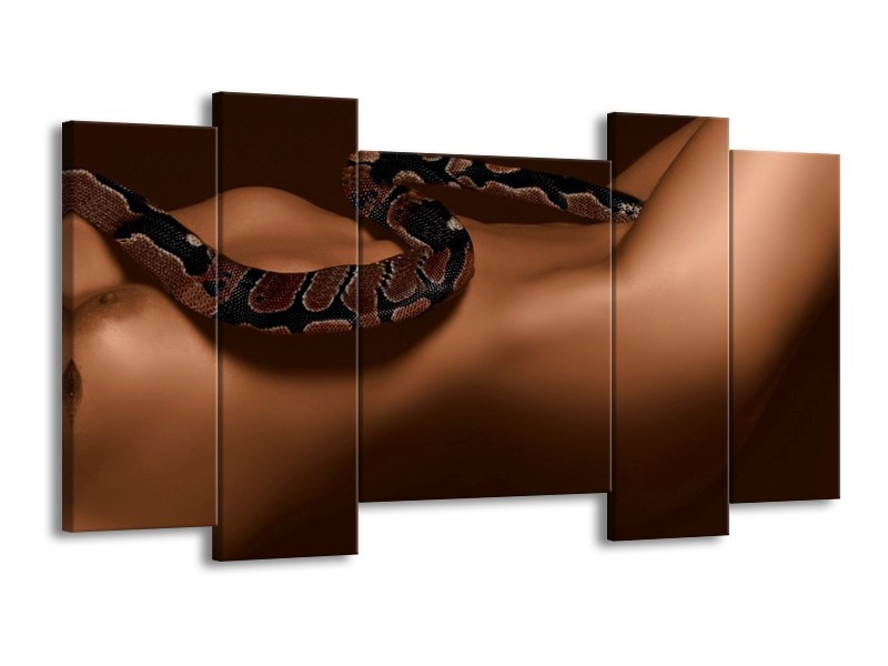Canvas schilderij Slang | Bruin, Zwart | 120x65 5Luik