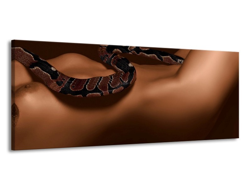 Canvas schilderij Slang | Bruin, Zwart | 145x58cm 1Luik