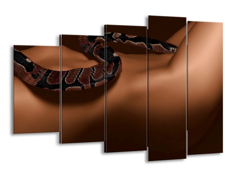 Glas schilderij Slang | Bruin, Zwart | 150x100cm 5Luik