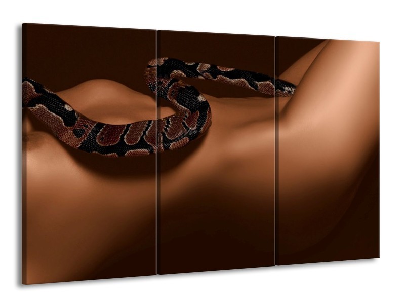 Canvas schilderij Slang | Bruin, Zwart | 165x100cm 3Luik