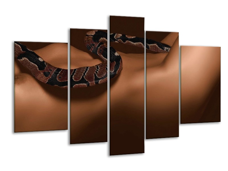 Canvas schilderij Slang | Bruin, Zwart | 170x100cm 5Luik