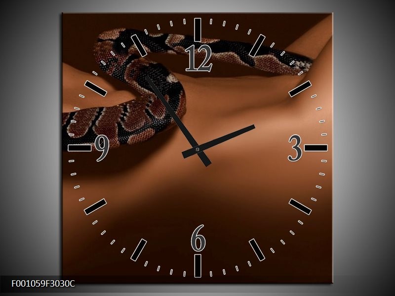 Klok schilderij Slang | Bruin, Zwart | 30x30cm 1Luik