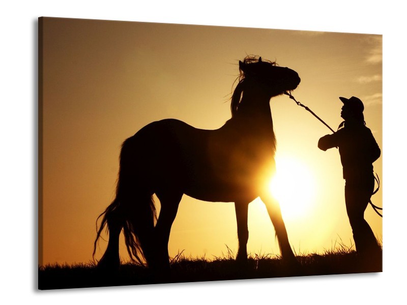 Canvas schilderij Paard | Zwart, Geel | 100x70cm 1Luik