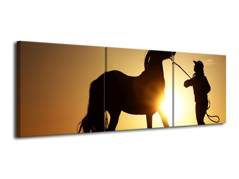 Glas schilderij Paard | Zwart, Geel | 120x40cm 3Luik