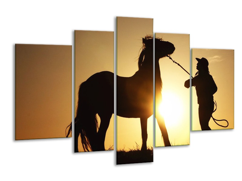 Canvas schilderij Paard | Zwart, Geel | 170x100cm 5Luik