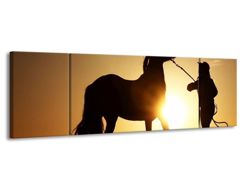 Glas schilderij Paard | Zwart, Geel | 170x50cm 3Luik